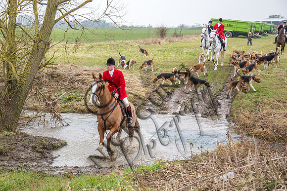 Essex Hunt 11.2.15-6