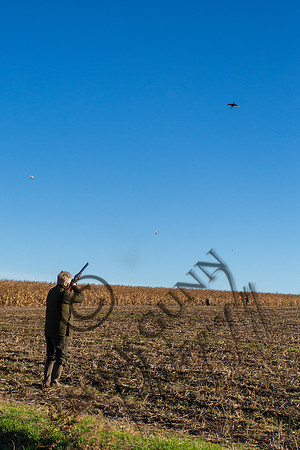 Schwier Farm 25.11.16-28