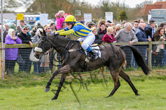point to point 2015-11