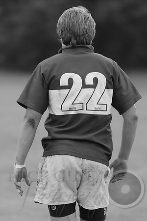 IMG_2345