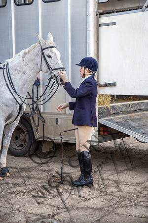 Essex Hunt 2.2.15-9