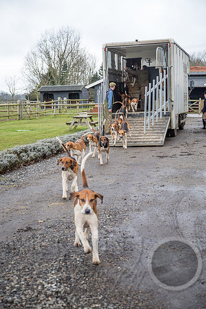 Essex Hunt 25.2.15-10