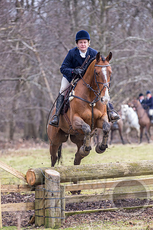 Essex Hunt 25.2.15-119