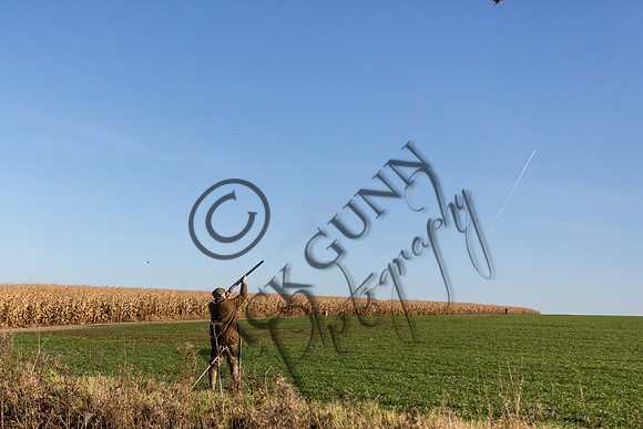 schwier shoot 11.17-35