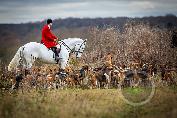 Hunt 22.2.17 farmers meet-58