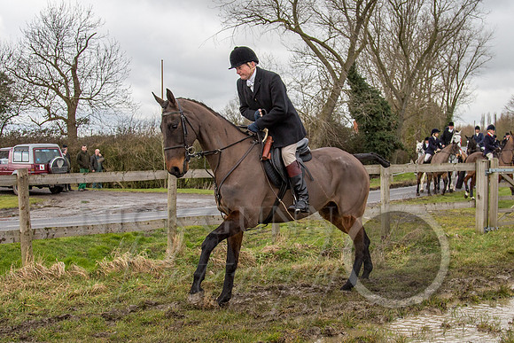 Essex Hunt 25.2.15-79