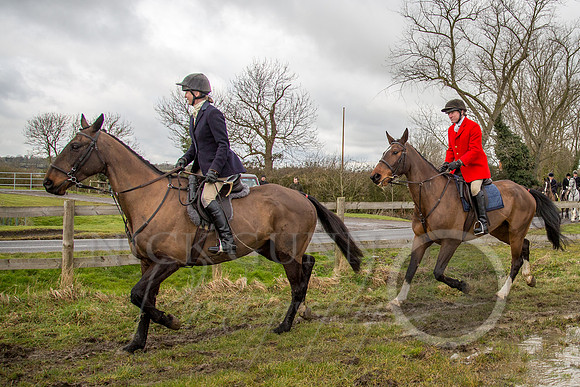 Essex Hunt 25.2.15-62