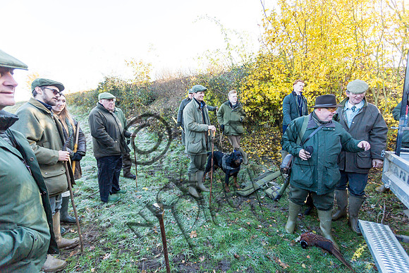 schwier shoot 11.17-16