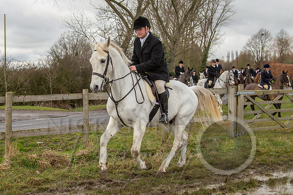Essex Hunt 25.2.15-66