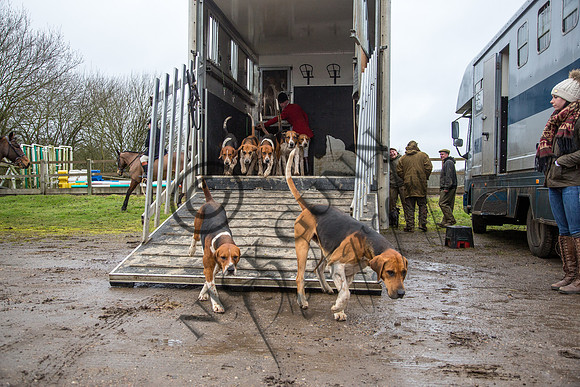 Essex Hunt 28.2.15-3