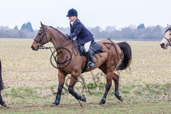 Essex Hunt 14.3.15-35