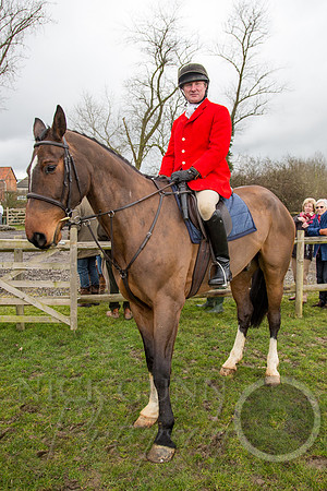 Essex Hunt 25.2.15-30
