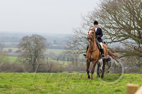 Essex Hunt 1.1.15-36
