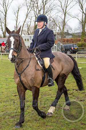 Essex Hunt 25.2.15-16