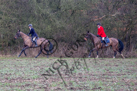Essex Hunt 28.2.15-30