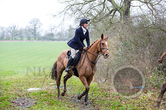 Essex Hunt 1.1.15-92
