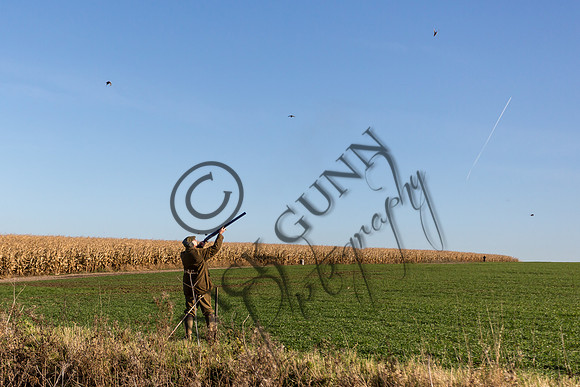 schwier shoot 11.17-34