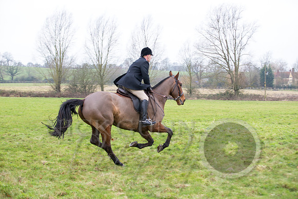 Essex Hunt 1.1.15-78