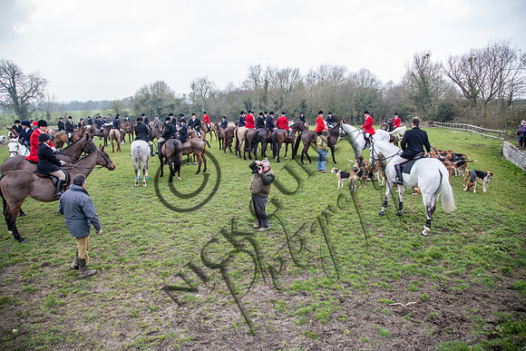 Essex Hunt 16.3.15-36