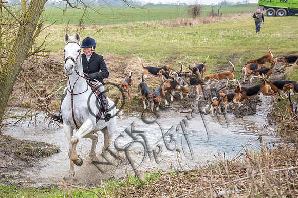 Essex Hunt 11.2.15-9