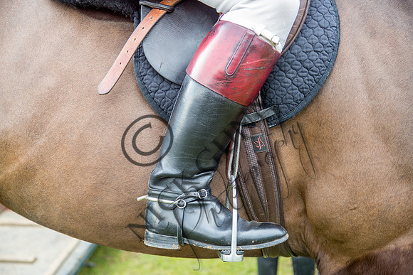 Essex Hunt 16.3.15-3