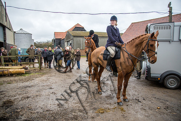 Essex Hunt 28.2.15-17