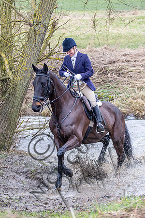 Essex Hunt 11.2.15-24