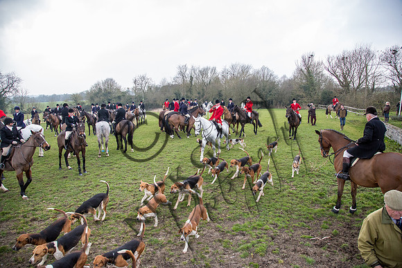 Essex Hunt 16.3.15-41