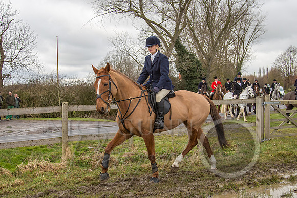 Essex Hunt 25.2.15-83