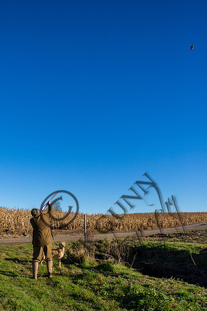 Schwier Farm 25.11.16-24