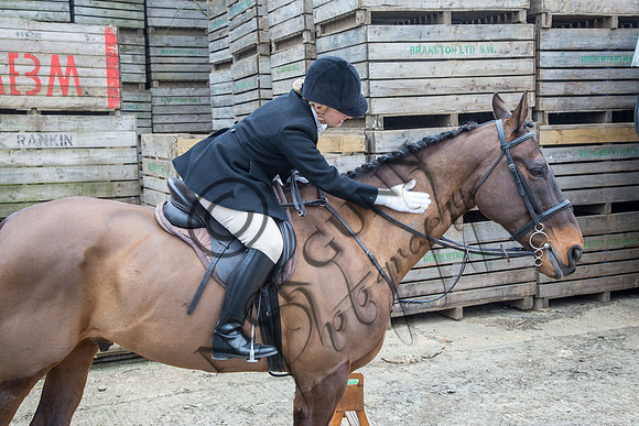 Essex Hunt 14.3.15-4