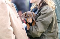 point to point 2015-13