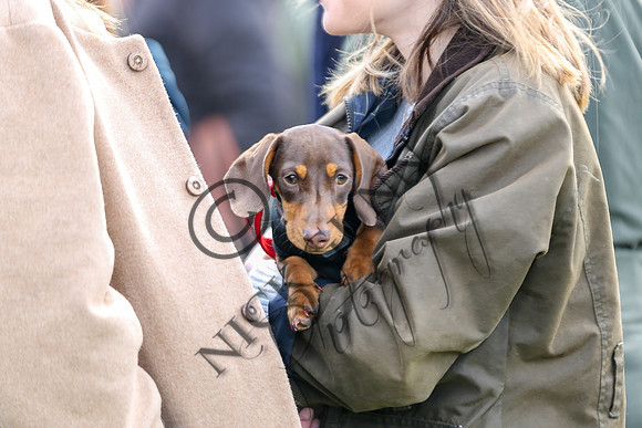 point to point 2015-13