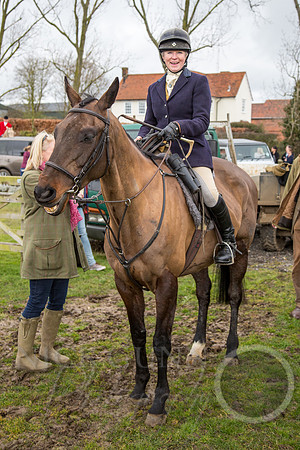 Essex Hunt 25.2.15-27