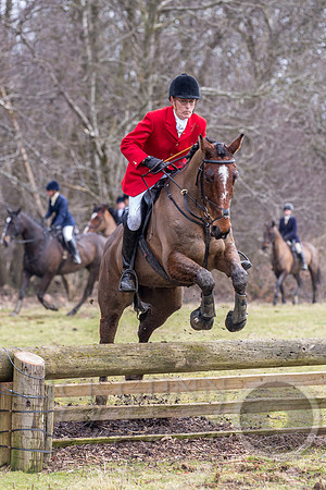 Essex Hunt 25.2.15-113