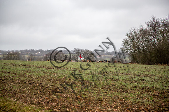 Essex Hunt 28.2.15-28