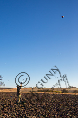 Schwier Farm 25.11.16-14