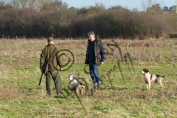 Sheering Shoot 13.1.15-15