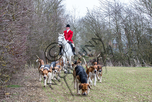Essex Hunt 14.3.15-17