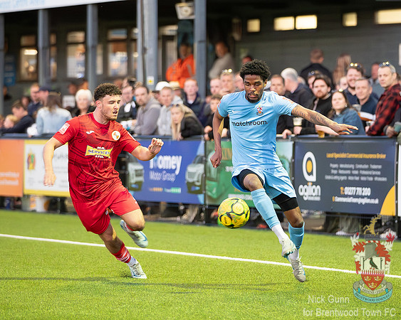 BTFC TIL-12