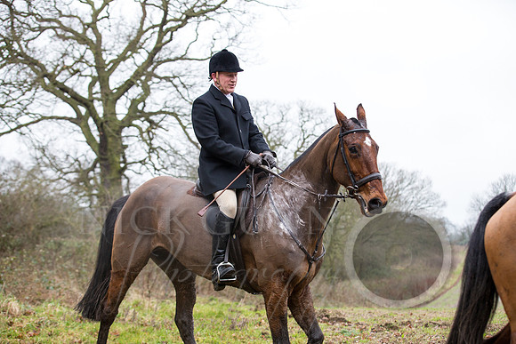 Essex Hunt 1.1.15-85