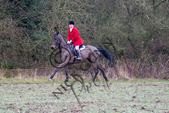 Essex Hunt 28.2.15-41