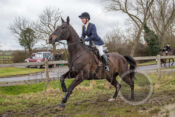 Essex Hunt 25.2.15-89