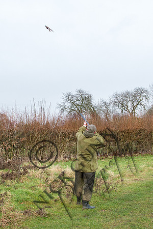 Beaters Shoot 17.1.15-23