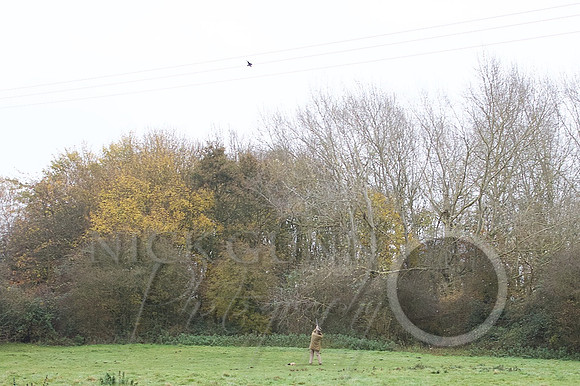 2014-11-21 at 12-12-34