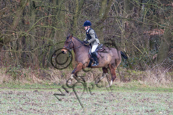 Essex Hunt 28.2.15-44
