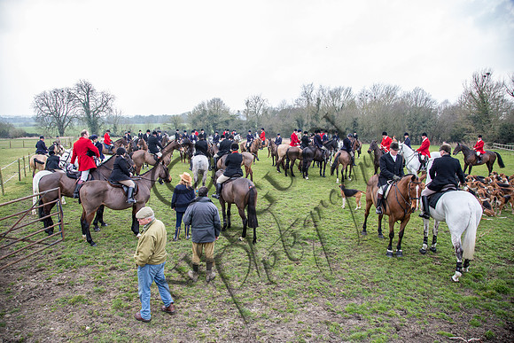 Essex Hunt 16.3.15-38