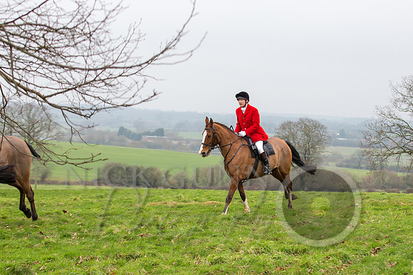 Essex Hunt 1.1.15-32