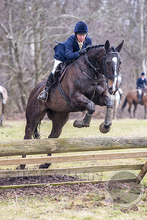 Essex Hunt 25.2.15-115