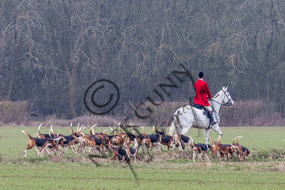 Essex Hunt 14.3.15-20
